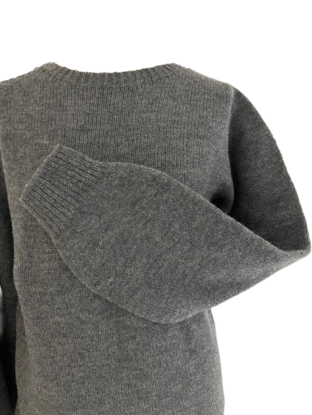 Seamless Knit   S.GLABRA